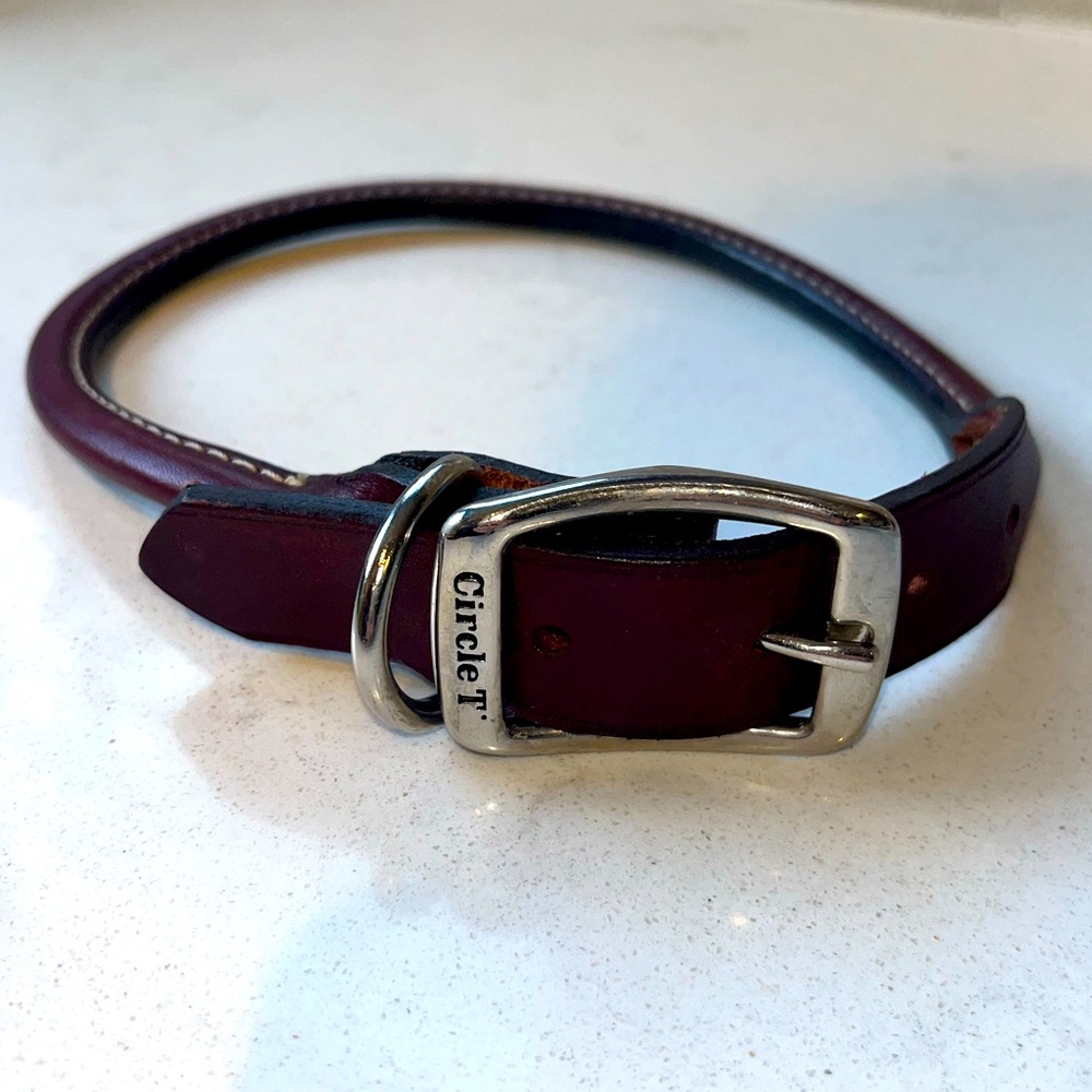 Circle T Leather Dog Collar